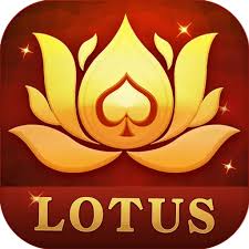 octro indian rummy chips hack download